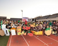 Desfile-de-Murgas-Carnaval-2012_057