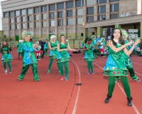 Desfile-de-Murgas-Carnaval-2013_203