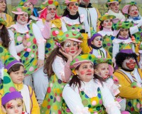 Desfile-de-Murgas-Carnaval-2013_217