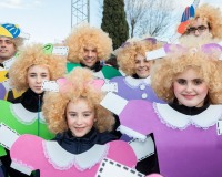 Desfile-de-Murgas-Carnaval-2013_231
