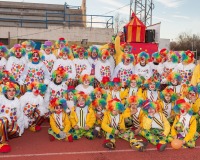 Desfile-de-Murgas-Carnaval-2013_288