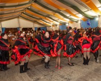 Desfile-de-Murgas-Carnaval-2013_328