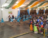 Desfile-de-Murgas-Carnaval-2013_340