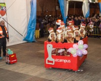 Desfile-de-Murgas-Carnaval-2013_349