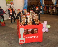 Desfile-de-Murgas-Carnaval-2013_351