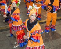 Desfile-de-Murgas-Carnaval-2013_358