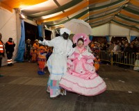 Desfile-de-Murgas-Carnaval-2013_359