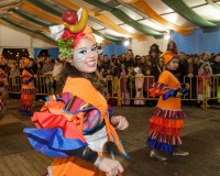 Desfile-de-Murgas-Carnaval-2013_360