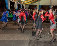 Desfile-de-Murgas-Carnaval-2013_363