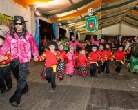 Desfile-de-Murgas-Carnaval-2013_370