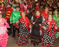 Desfile-de-Murgas-Carnaval-2013_371