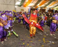 Desfile-de-Murgas-Carnaval-2013_389