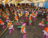 Desfile-de-Murgas-Carnaval-2013_412