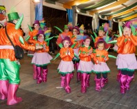 Desfile-de-Murgas-Carnaval-2013_413