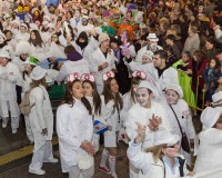 Desfile-de-Murgas-Carnaval-2013_418