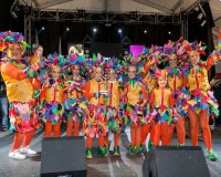 Desfile-de-Murgas-Carnaval-2013_442