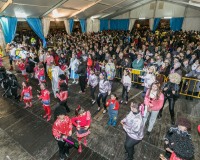 Carnavales de Getafe