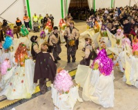 Carnavales de Getafe