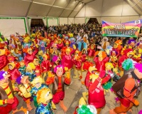 Carnavales de Getafe