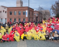 Carnavales de Getafe