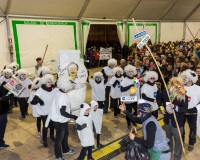 Carnavales de Getafe
