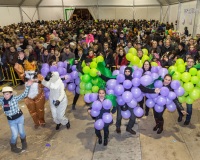 Carnavales de Getafe