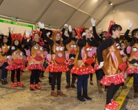 Carnavales de Getafe