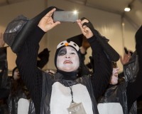 Carnavales de Getafe