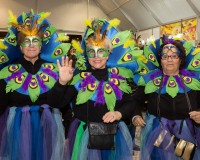 Carnavales de Getafe