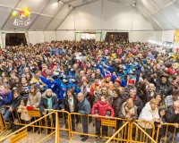 Carnavales de Getafe