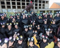 Carnavales de Getafe