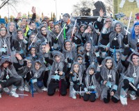 Carnavales de Getafe