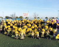 Carnavales de Getafe