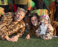 Carnavales de Getafe