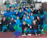Carnavales de Getafe