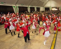 Carnavales de Getafe