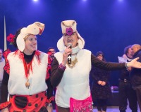 Carnavales de Getafe