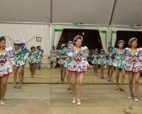 Carnavales de Getafe