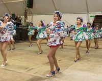 Carnavales de Getafe