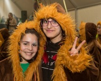 Carnavales de Getafe