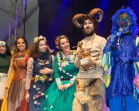 Carnavales de Getafe