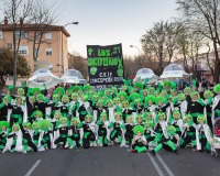 Carnavales de Getafe