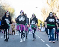 Carnavales de Getafe