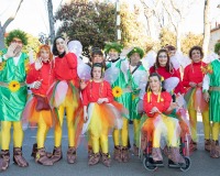 Carnavales de Getafe