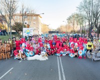 Carnavales de Getafe