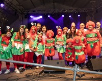 Carnavales de Getafe