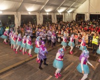 Carnavales de Getafe