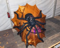 Carnavales de Getafe