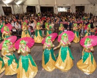 Carnavales de Getafe