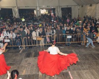Carnavales de Getafe